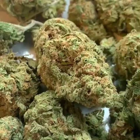 CANNABIS STRAINS